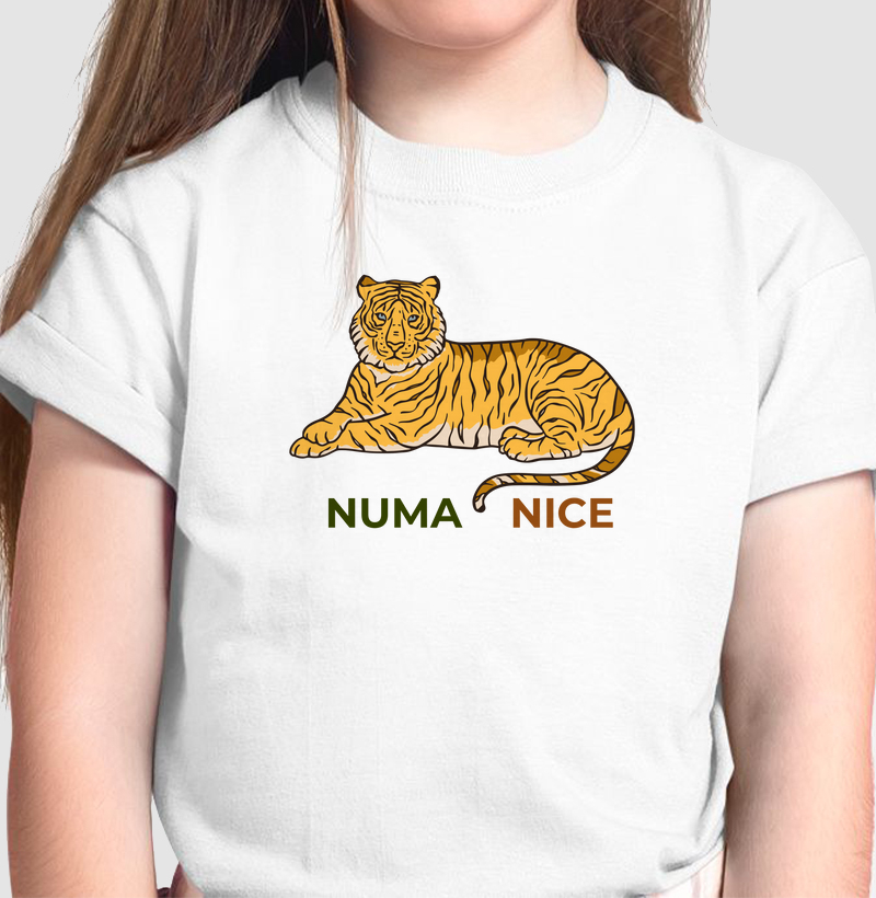 Numa Nice 