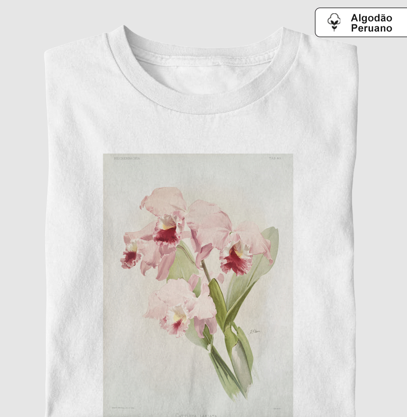 Cattleya labiata: Rainha do Nordeste