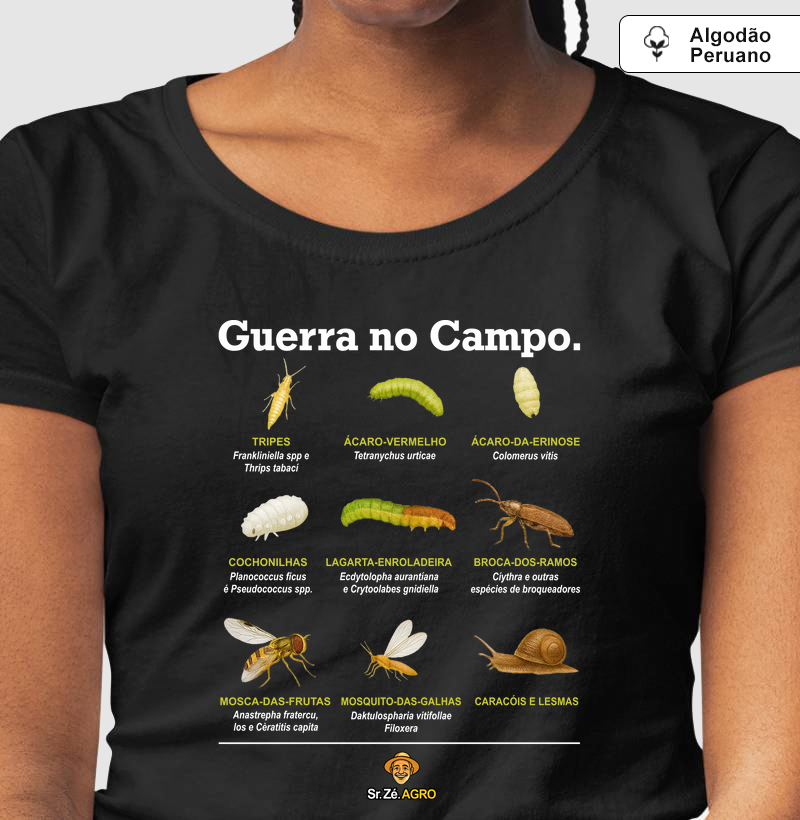 Guerra no Campo.