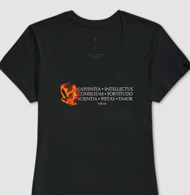 Camiseta Dons do Espírito Santo | Camiseta Católica Tradicional