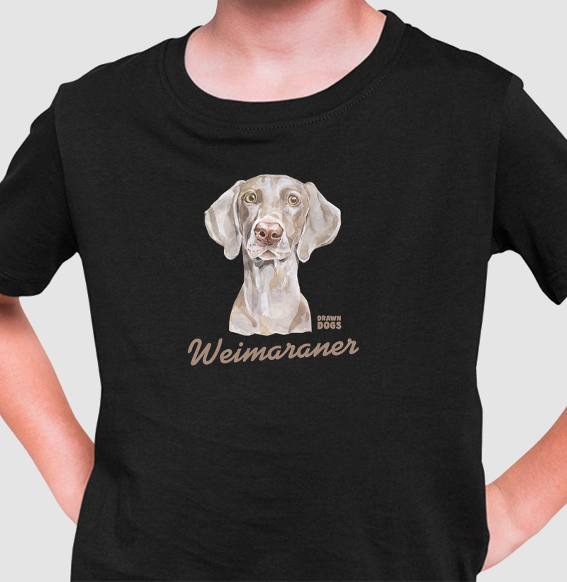 Weimaraner