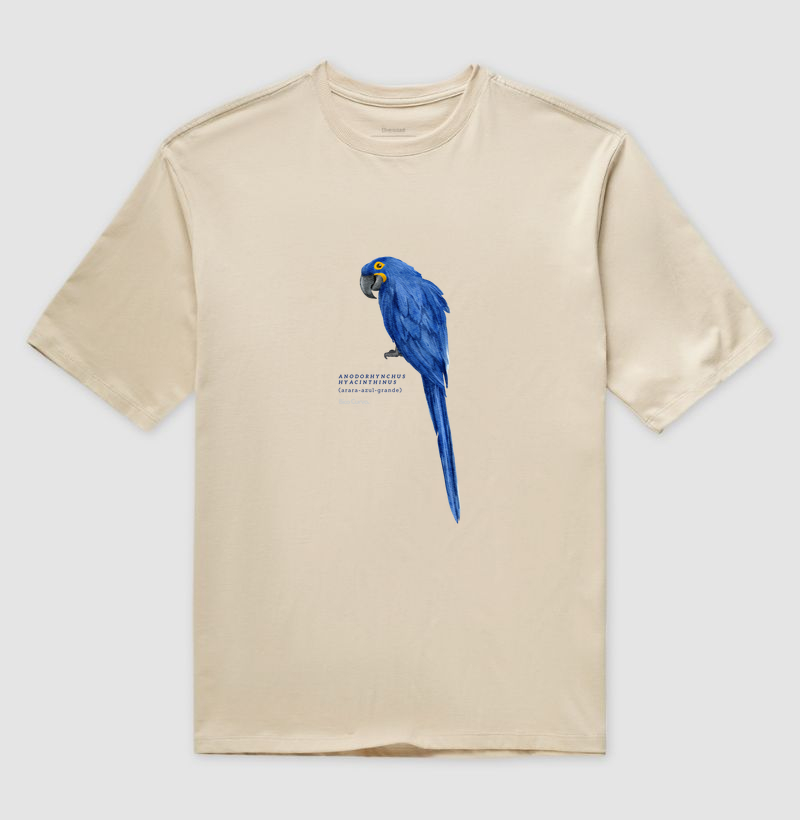Arara Azul Cores