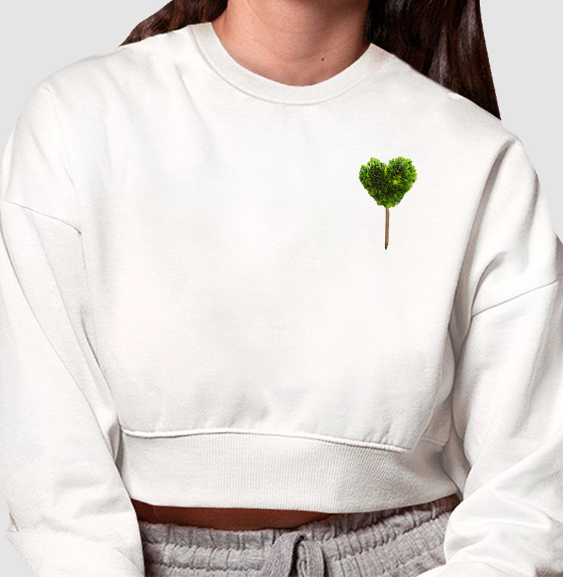 Amor de plantinha