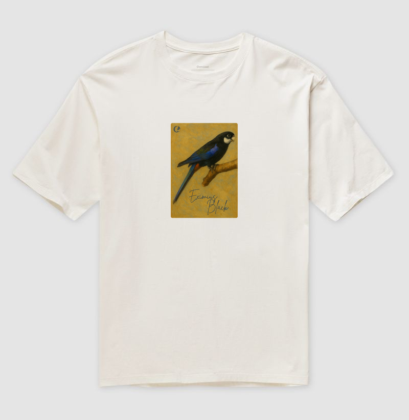 Camiseta Oversized - Eximius Black