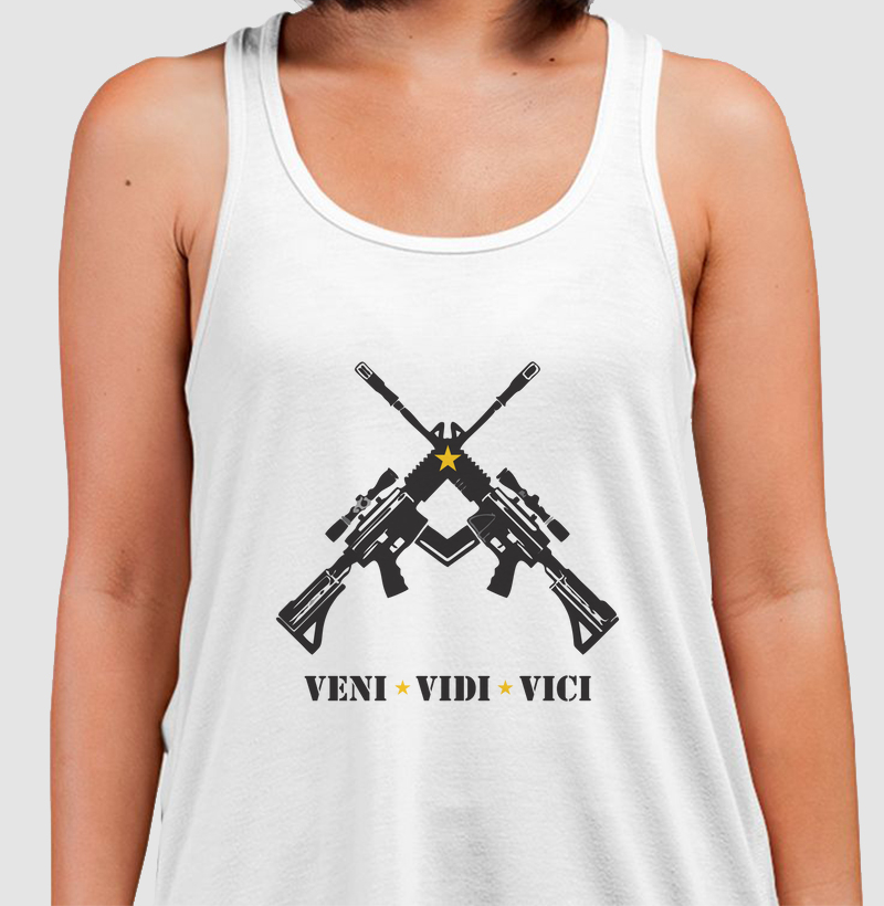 VENI VIDI VICI