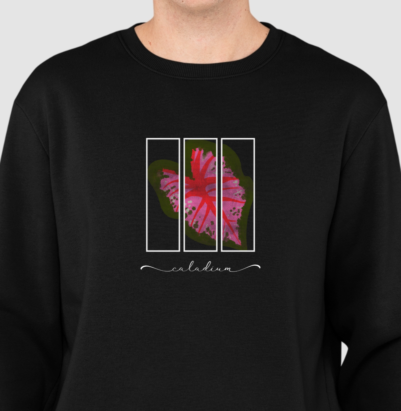 Caladium