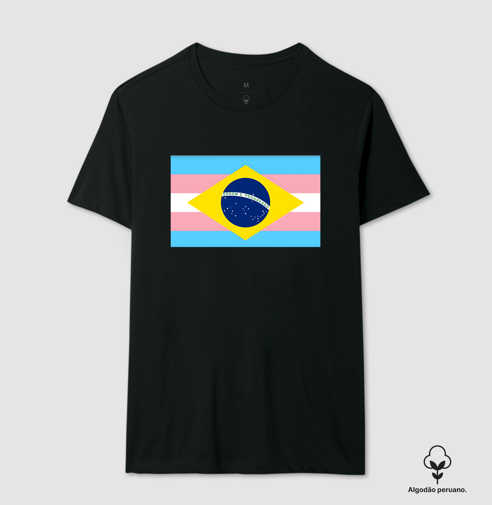 Bandeira Trans