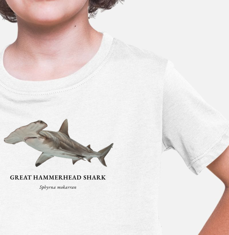 Great Hammerhead Shark