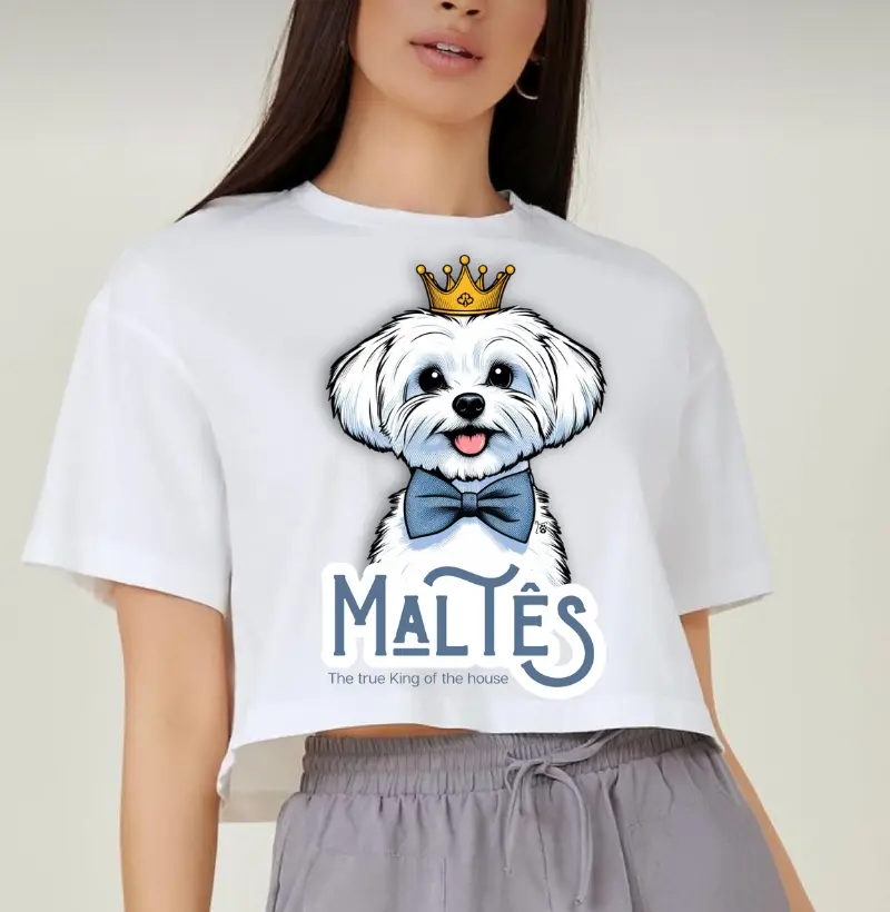 [Cropped] Maltês Macho