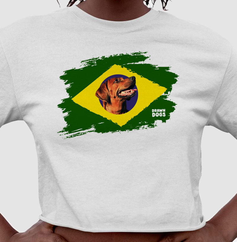 Bandeira Brasil e caramelo