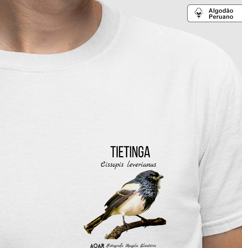 Aves da mata atlântica com Magela Eleutério TIETINGA