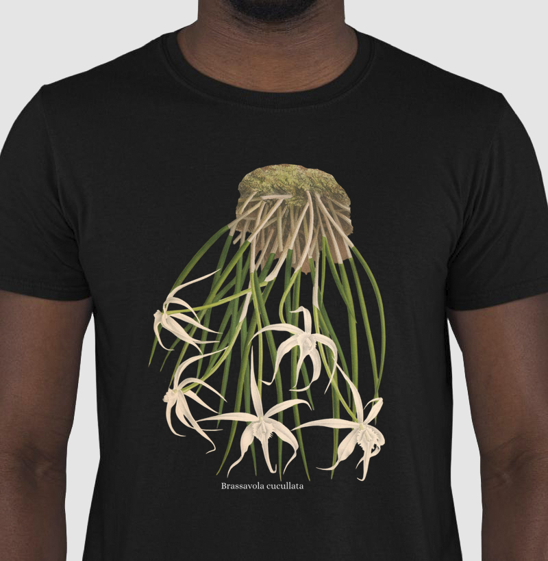 Camiseta Brassavola cucullata