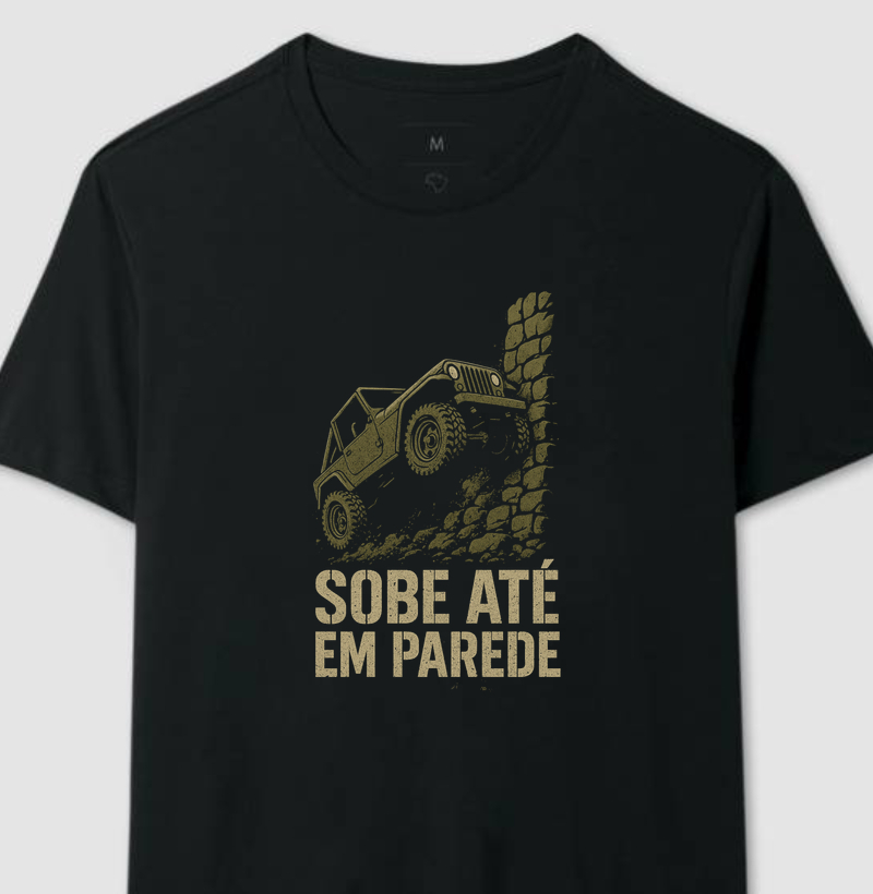 sobe até em parede