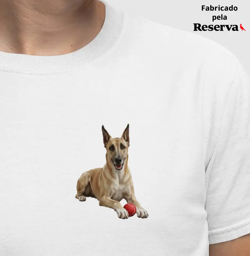 Windhound Minimalista