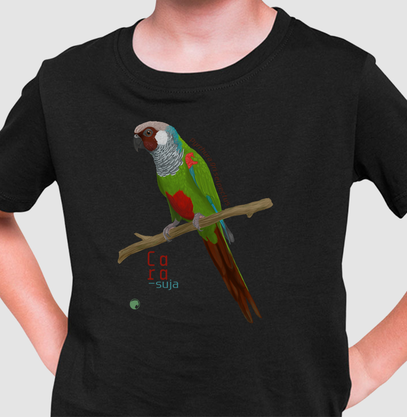 Camiseta infantil cara-suja