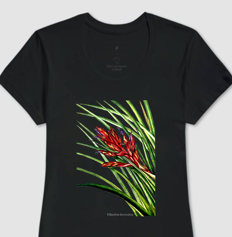 Camiseta Feminina Tillandsia fasciculata
