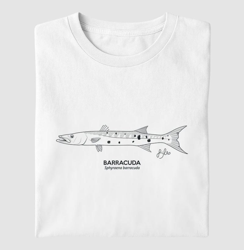 Barracuda Minimalismo