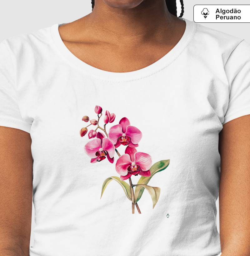 Coleção Orquídeas