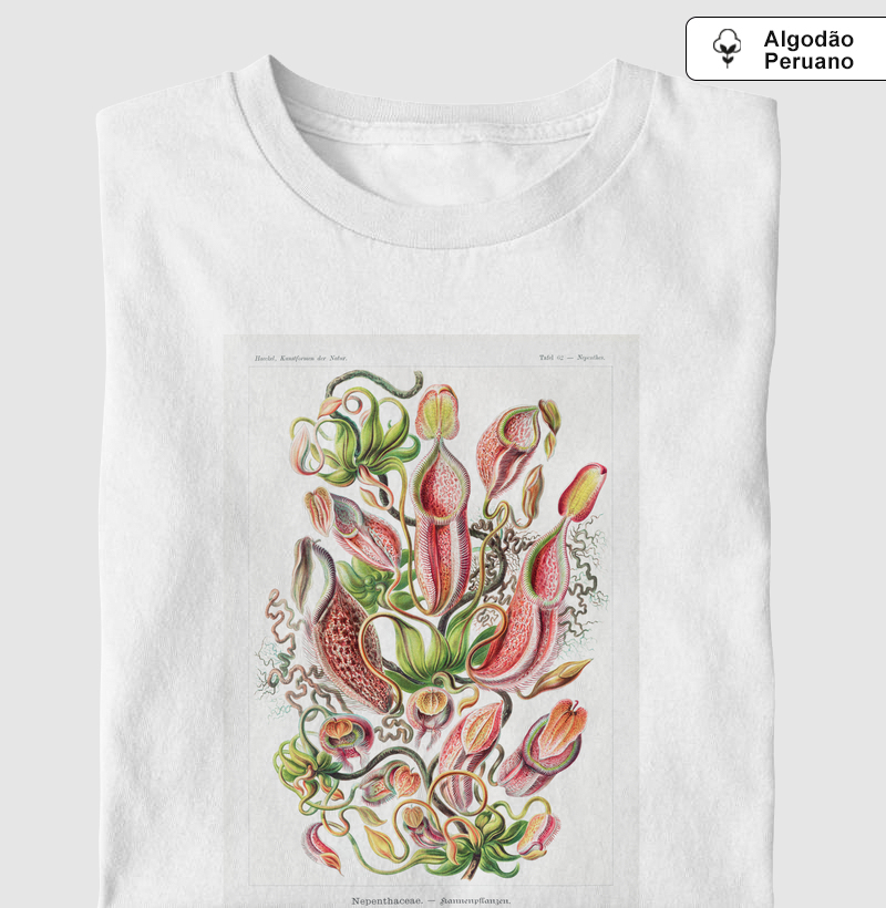 Plantas Carnívoras