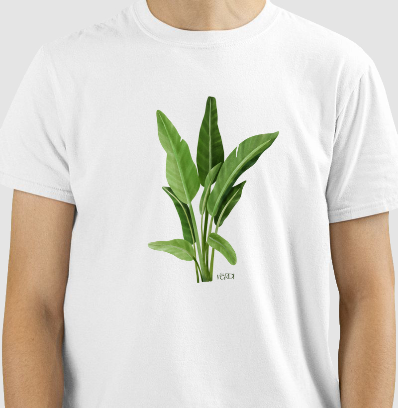 Bananeira 01