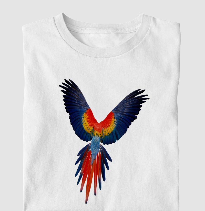Arara