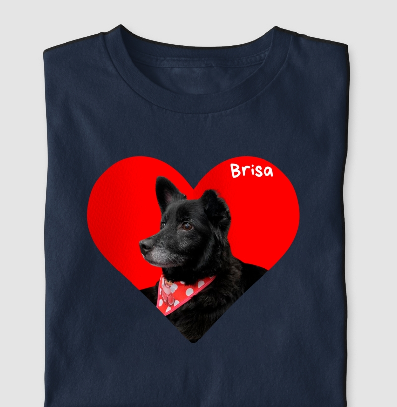 Brisa