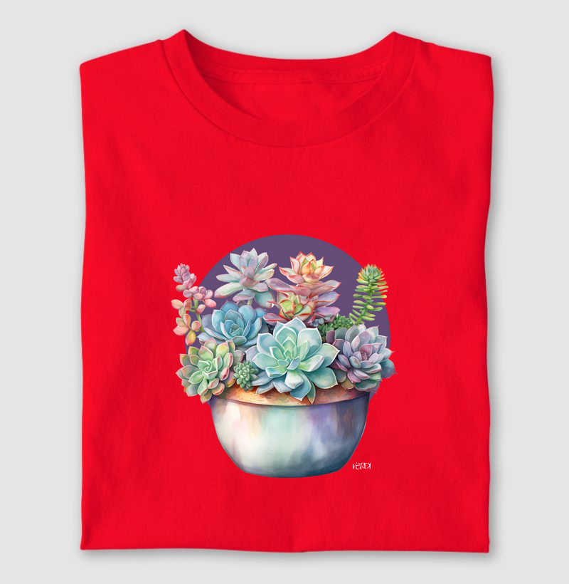 Vaso de suculentas