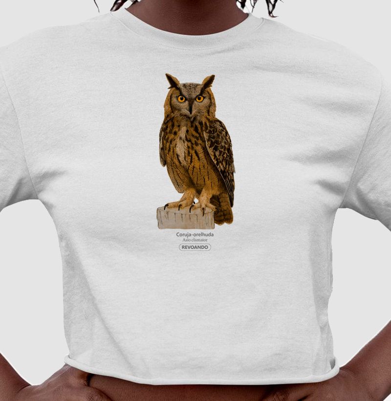 Aves do Brasil - Coruja Orelhuda - Cropped