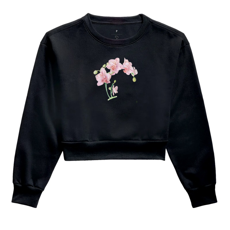 Coleção Orquídeas