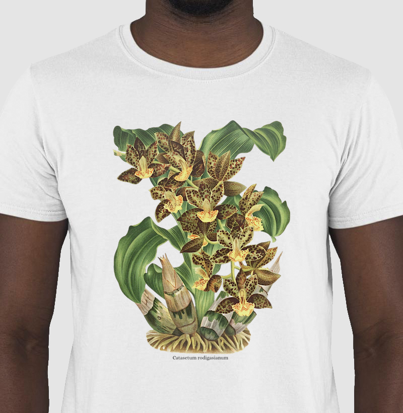 Camiseta Catasetum rodigasianum