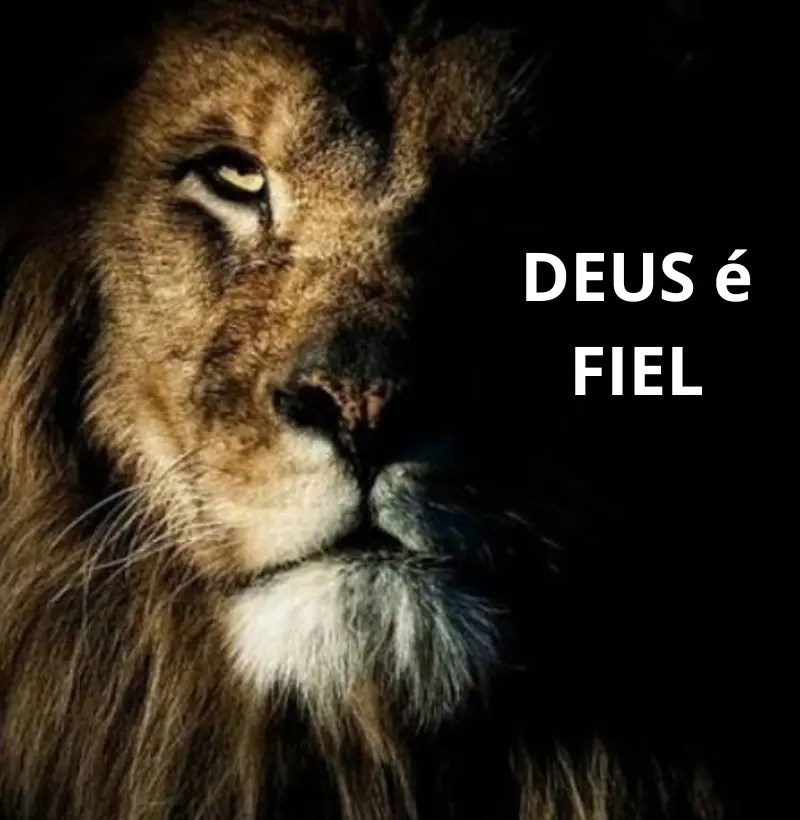Camiseta Deus é Fiel