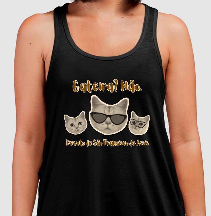 DEVOTO DE SÃO FRANCISCO DE ASSIS