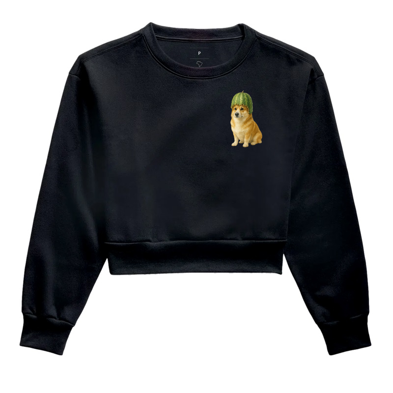 Just a Corgi with a watermelon helmet