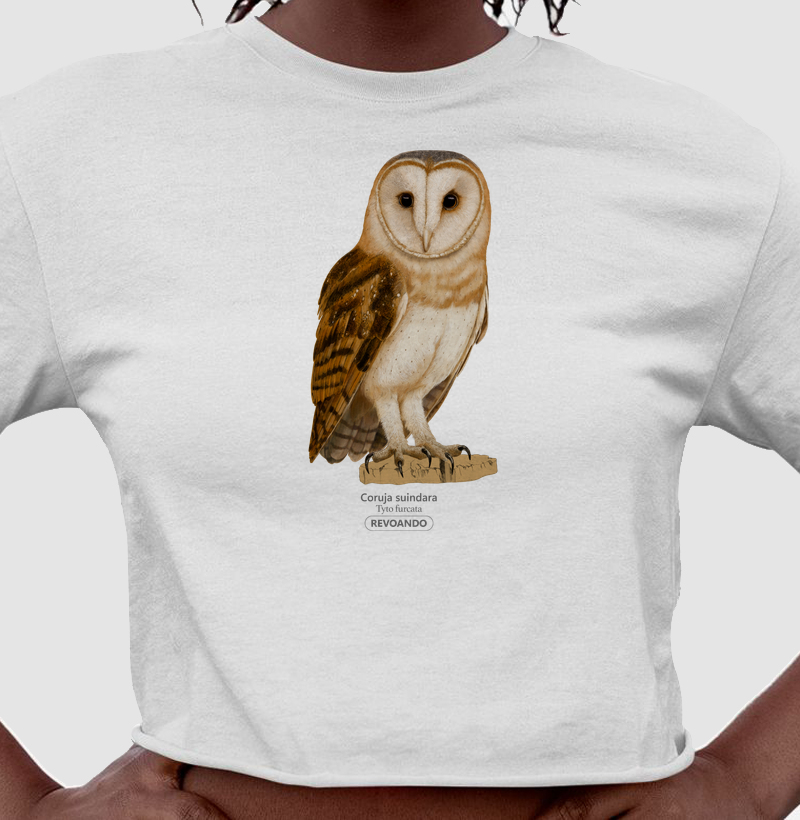 Aves do Brasil - Coruja Suindara - Cropped