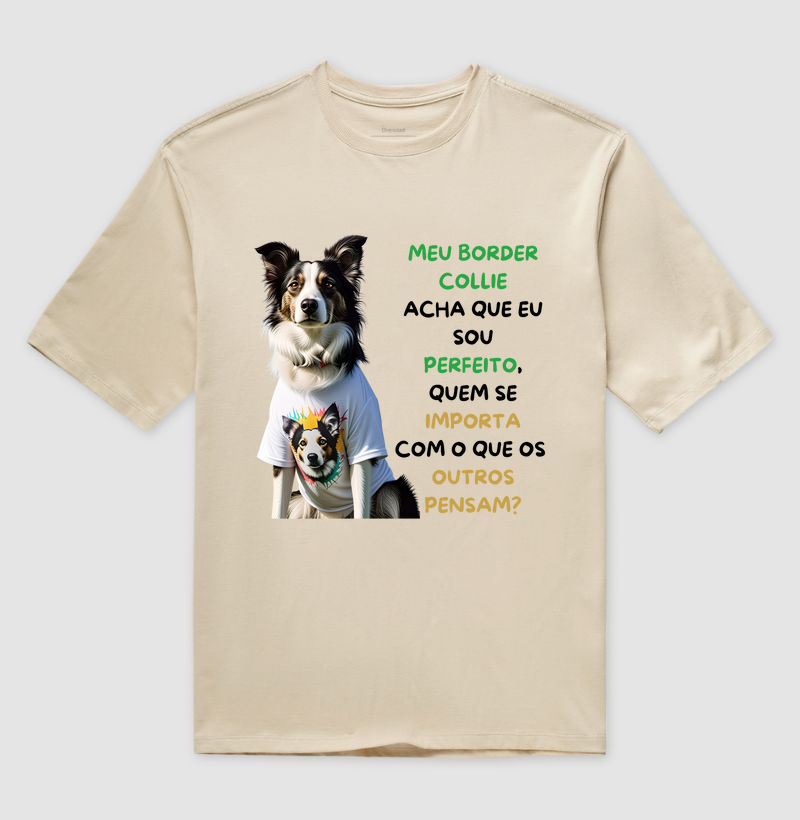 Meu border collie acha que eu sou perfeito
