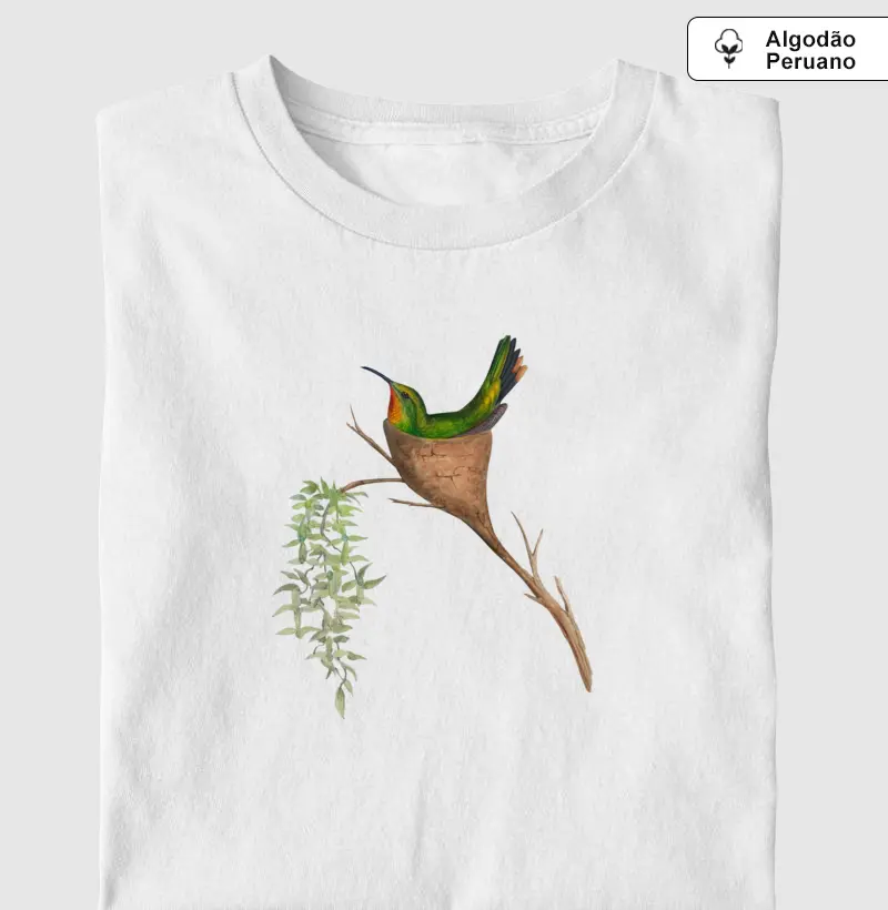 Beija-flor