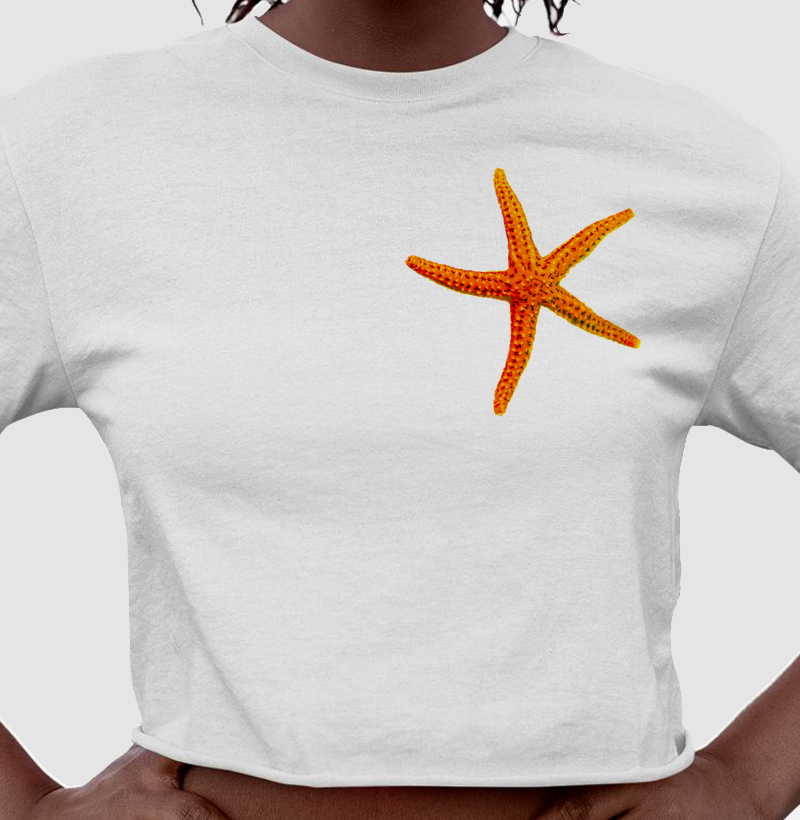 Estrela do Mar GalleggiSub