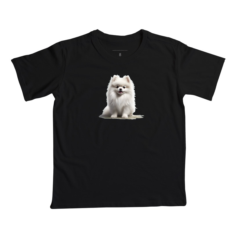 Spitz Lulu da Pomerânia Branco
