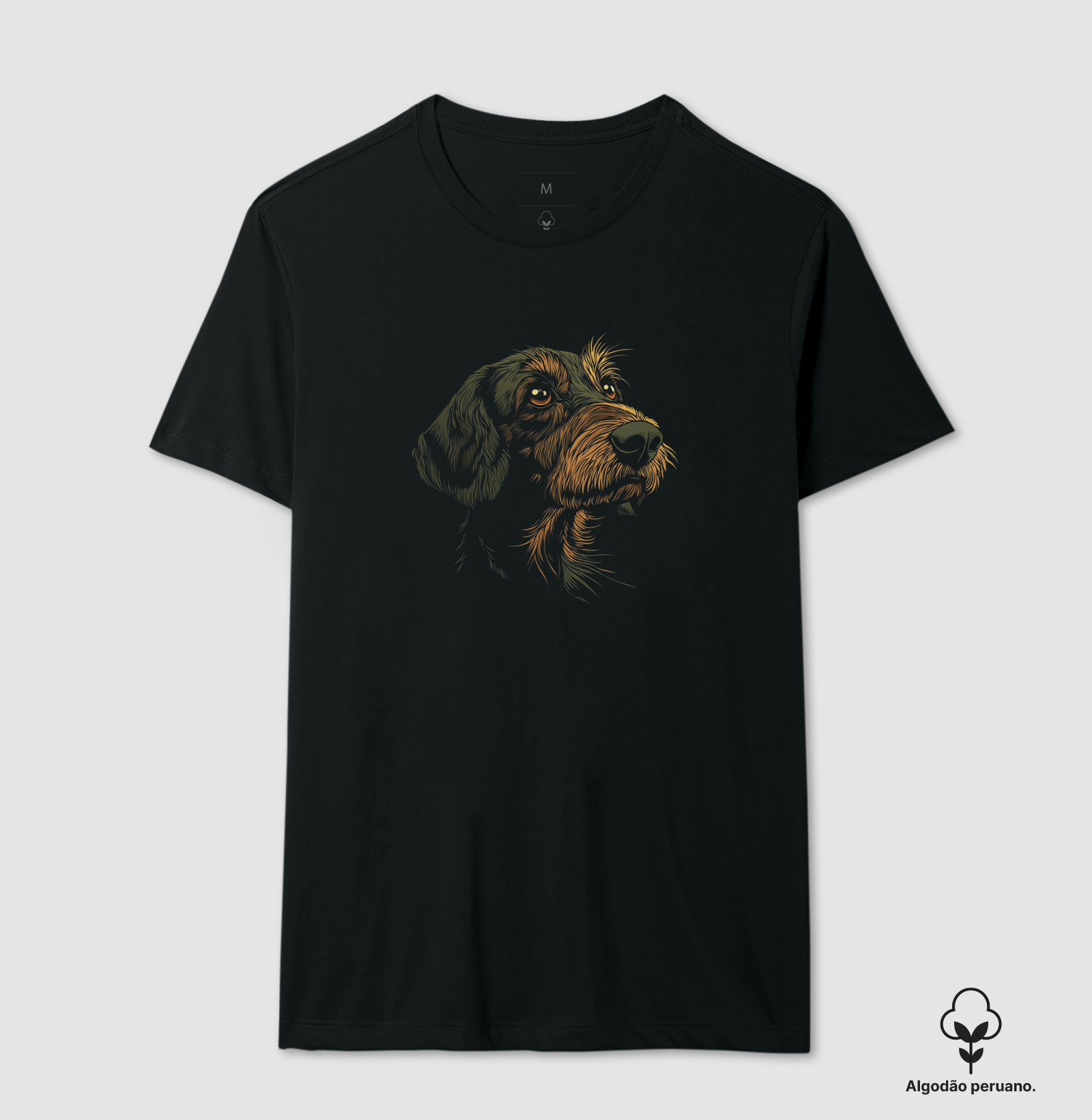 Wire Haired Dachshund