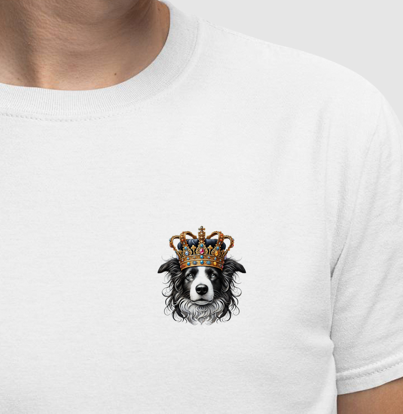 Border Collie - CrownDogs