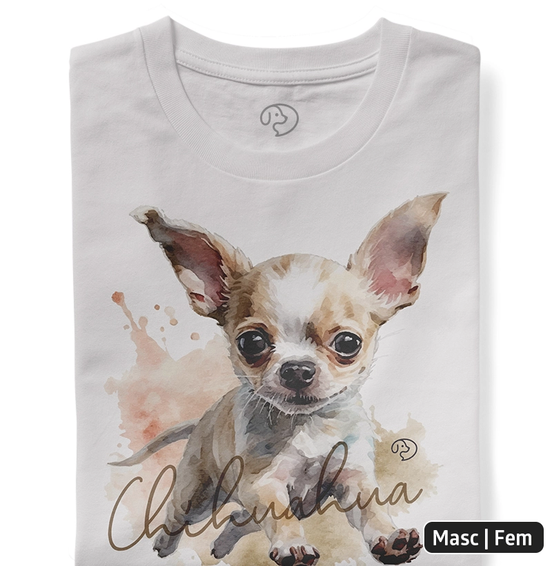 Chihuahua Splash