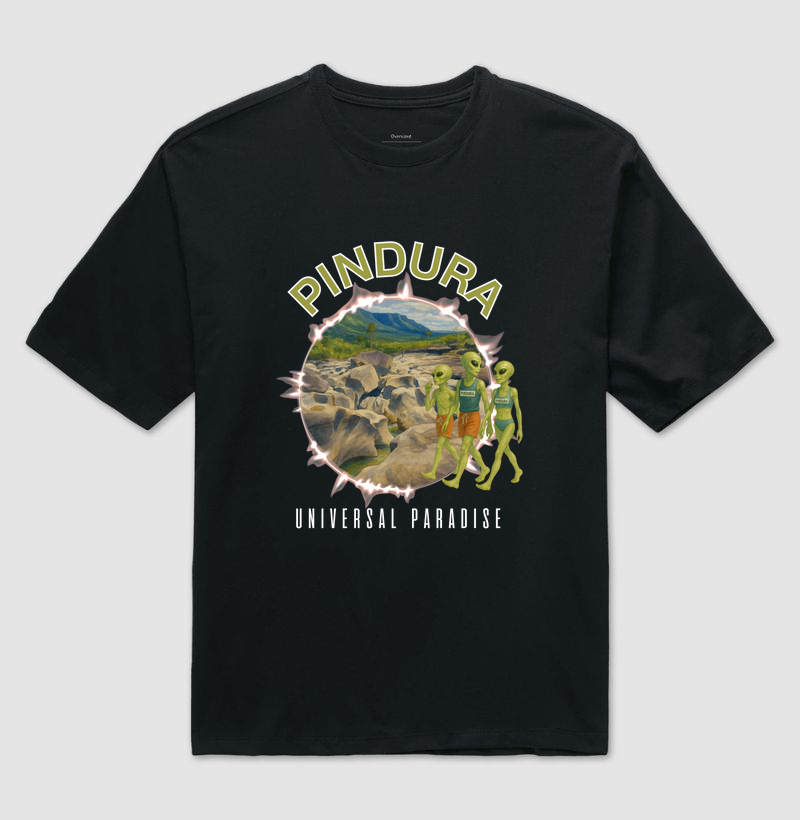 Camiseta Oversized Vale da Lua