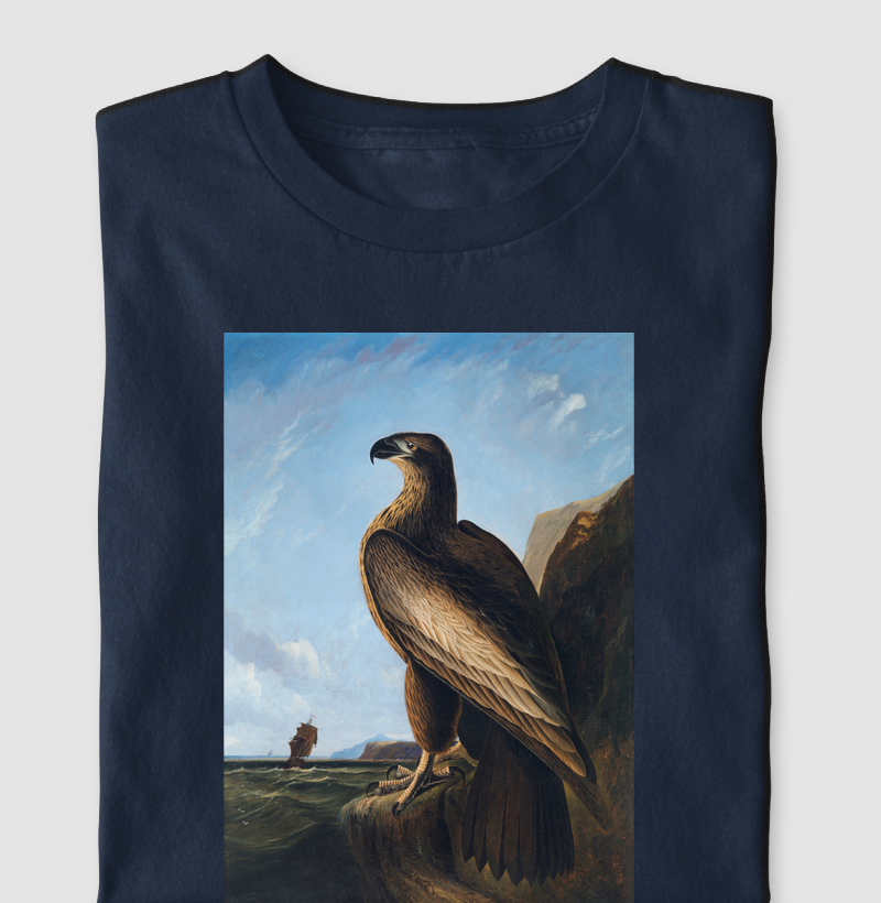 Washington Sea Eagle
