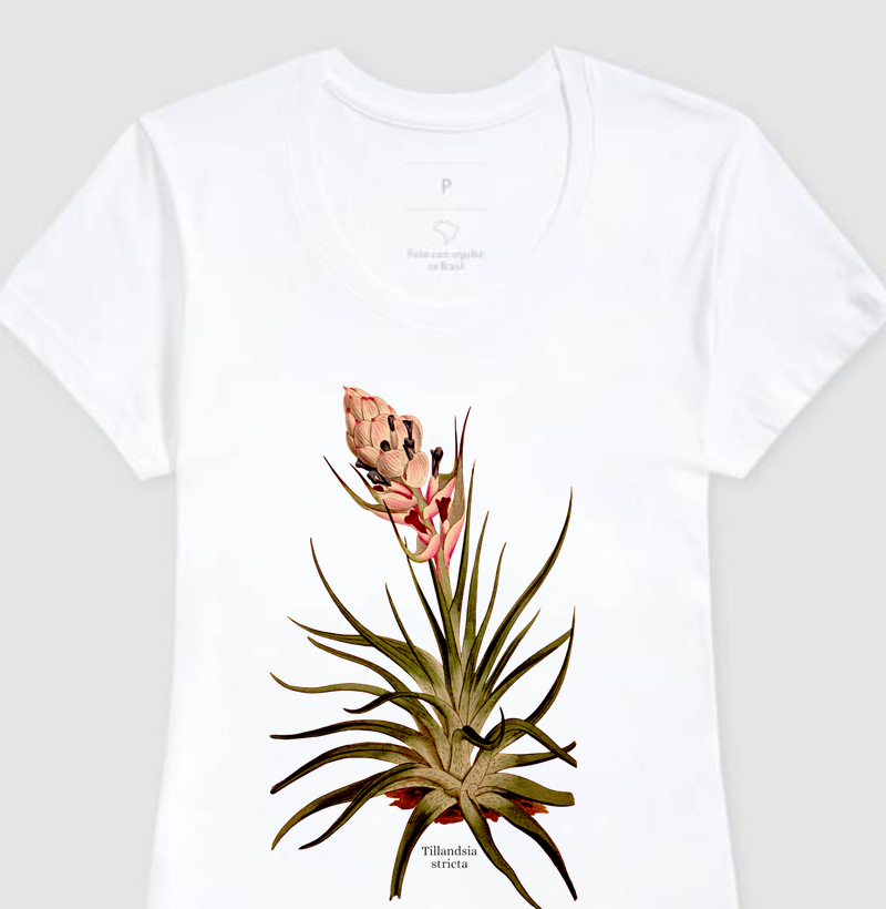 Camiseta Feminina Tillandsia stricta