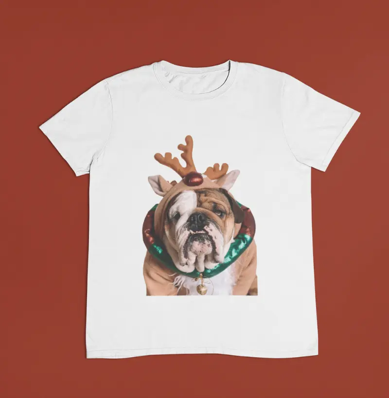 Rena de Natal