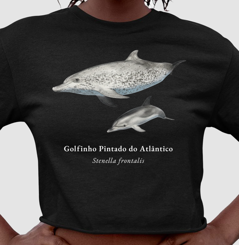 Golfinho Pintado do Atlântico