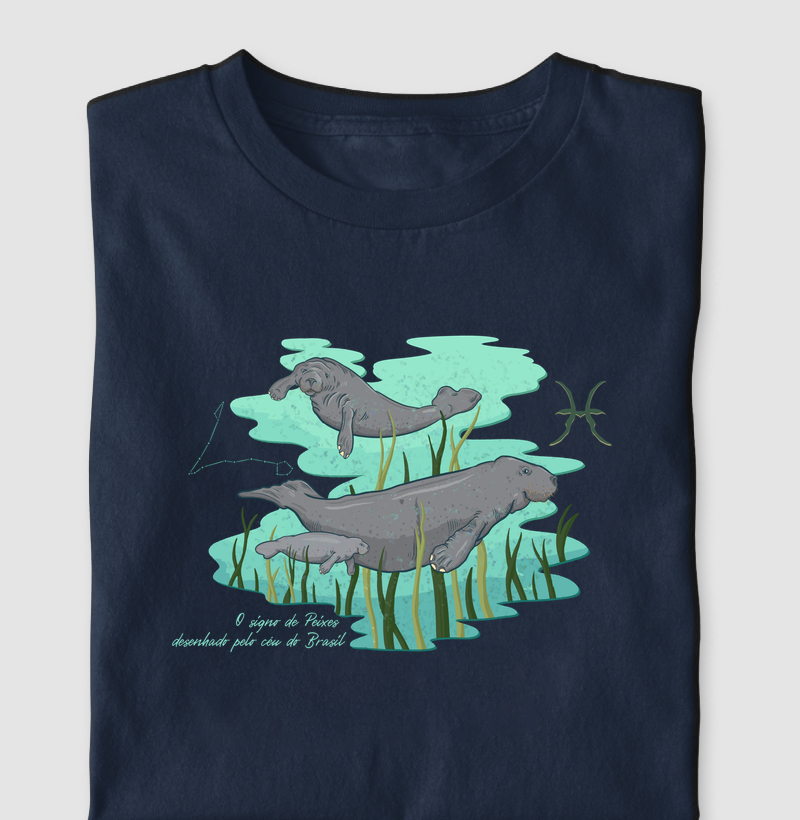 Peixes pelo céu do Brasil