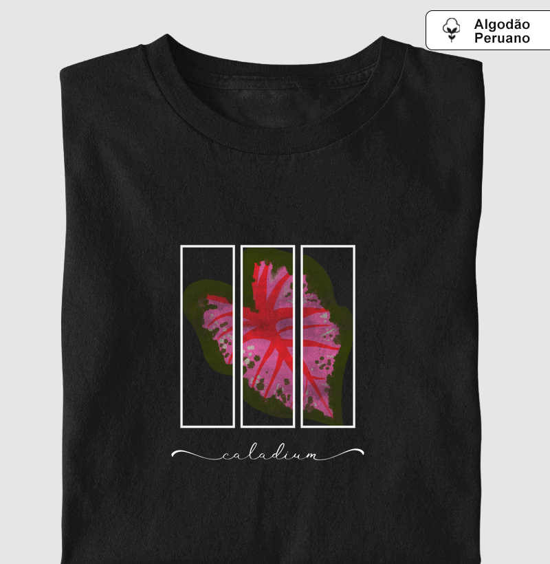 Caladium
