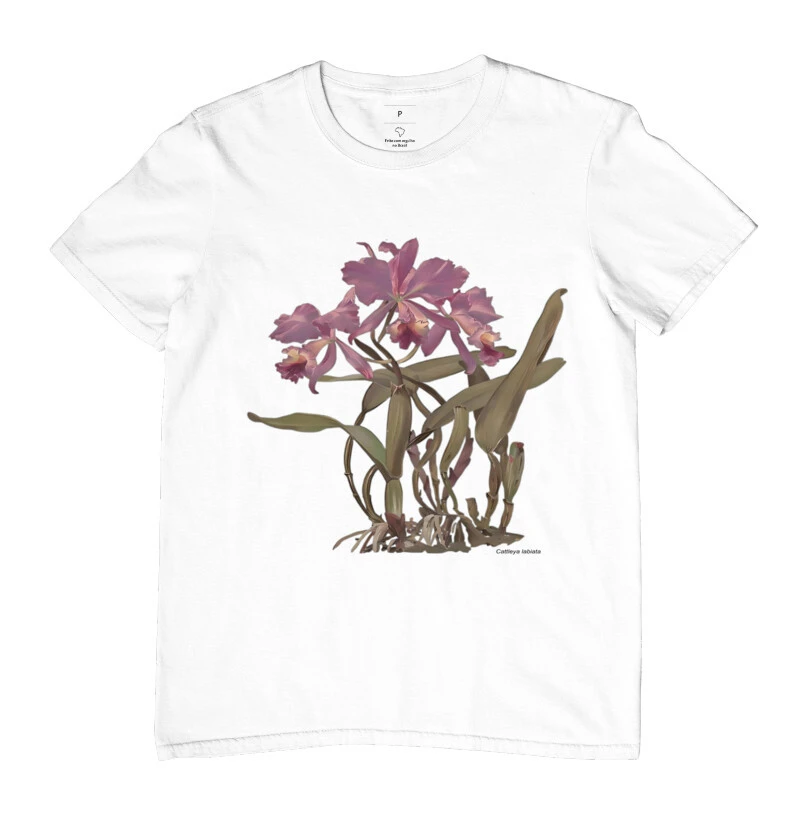 Cattleya