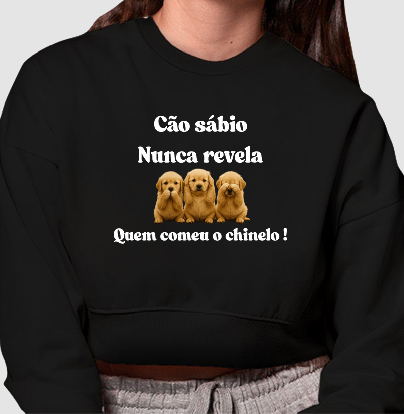 Cão sábio nunca revela quem comeu o chinelo!